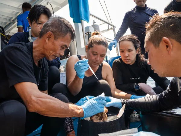 Underwater conservation photography documenting coral restoration and marine protection efforts